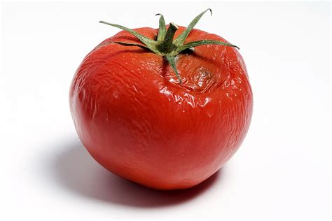 Rotten Tomatoes .